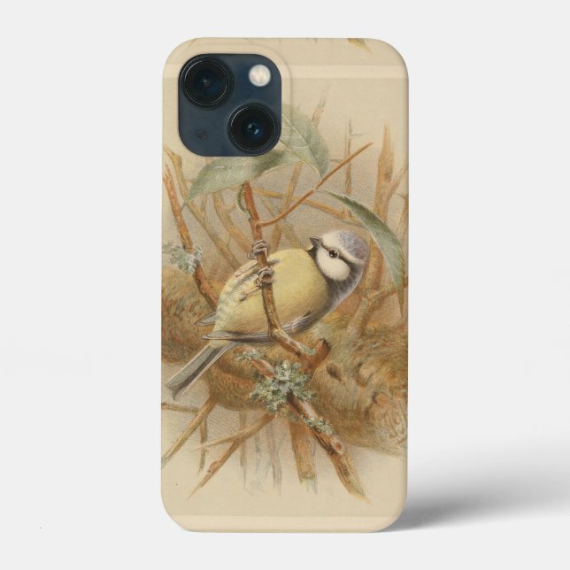 Vintage Illustration of Bluetit Case-Mate iPhone Case (Back)