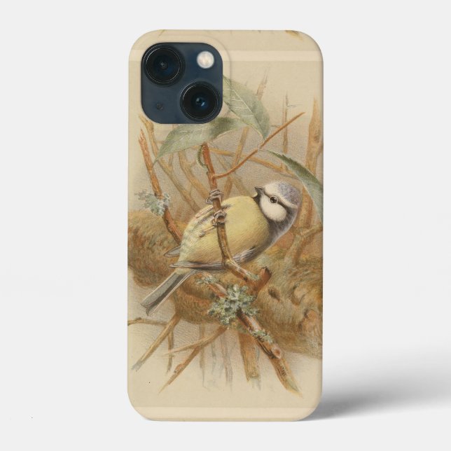 Vintage Illustration of Bluetit Case-Mate iPhone Case (Back)