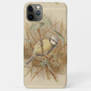 Vintage Illustration of Bluetit iPhone 11 Pro Max Case