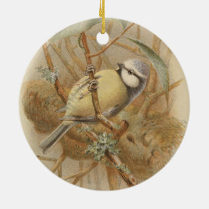 Vintage Illustration of Bluetit Ceramic Ornament