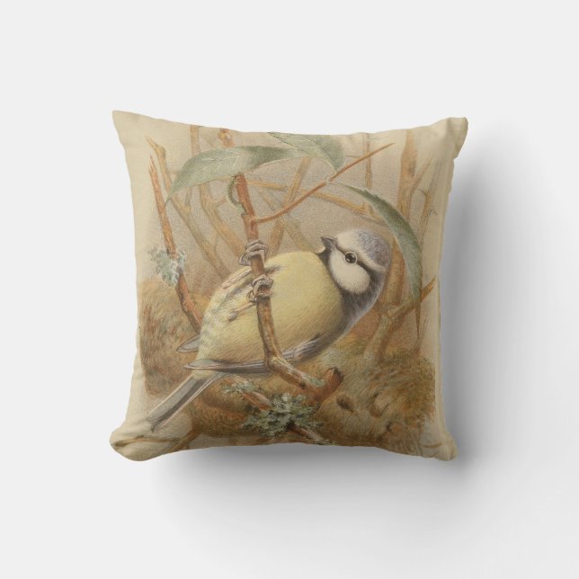 Vintage Illustration of Bluetit Cushion (Front)