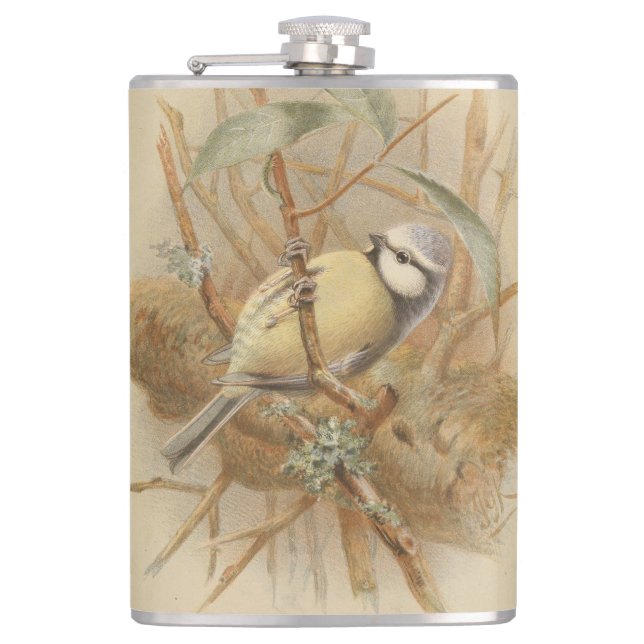 Vintage Illustration of Bluetit Hip Flask (Front)
