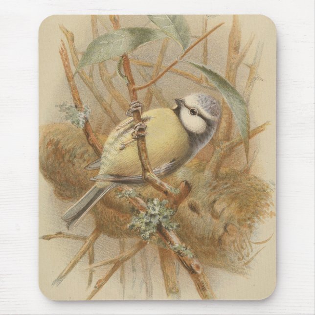 Vintage Illustration of Bluetit Mouse Pad (Front)