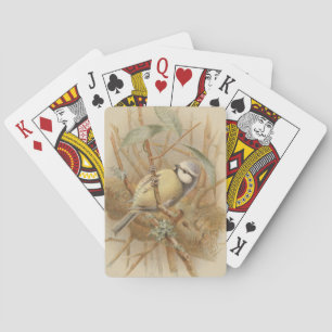 Vintage Illustration of Bluetit Playing Cards