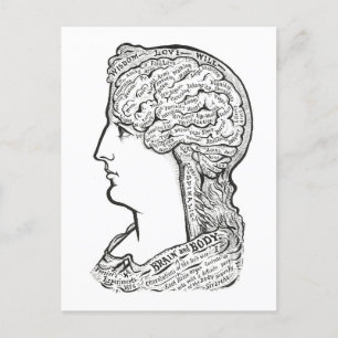 Vintage Illustration of Brain-Body Connection Postcard