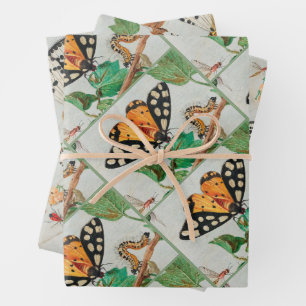 Vintage illustration of butterflies on berries wrapping paper sheet