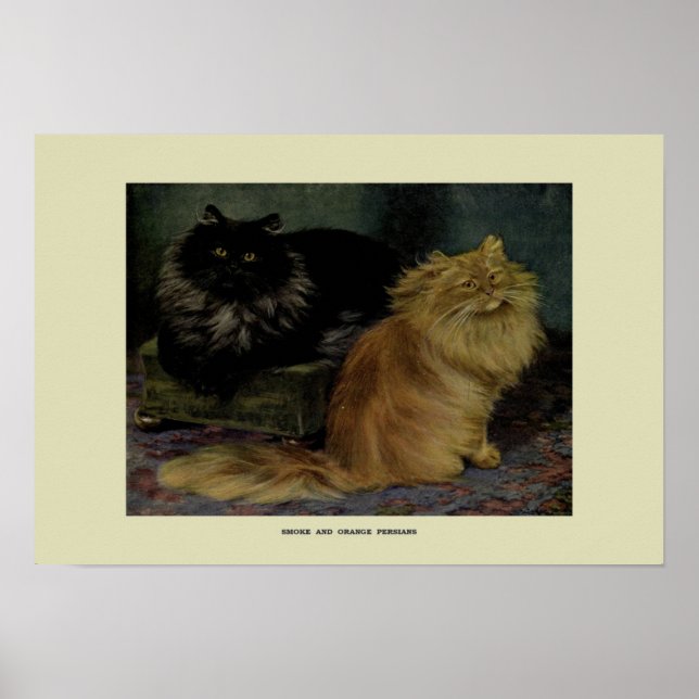 Vintage Illustration of Cats Poster (Front)