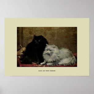 Vintage Illustration of Cats Poster