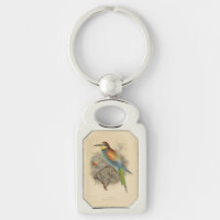 Vintage illustration of European Bee-Eater