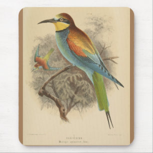 Vintage illustration of European Bee-Eater Mouse Pad