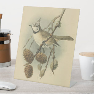 Vintage Illustration of European Crested Tit Pedestal Sign