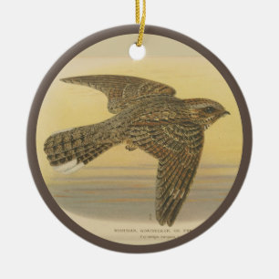 Vintage Illustration of European nightjar Ceramic Ornament