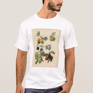 Vintage illustration of gooseberry T-Shirt