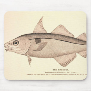 Vintage illustration of Haddock Mouse Pad