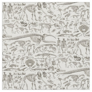 Vintage Illustration of Human & Animal Bones Fabric