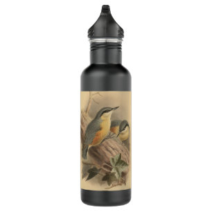 Vintage Illustration of Nuthatch 710 Ml Water Bottle