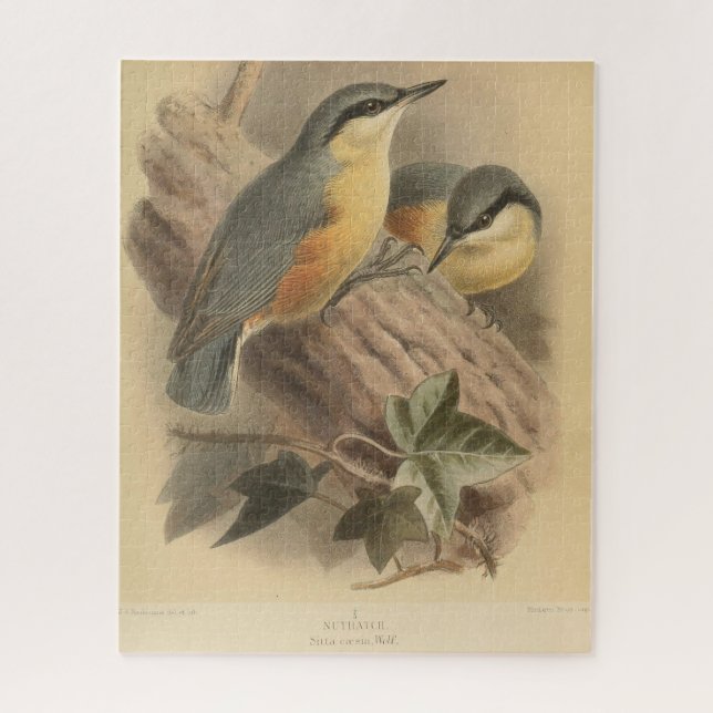 Vintage Illustration of Nuthatch Jigsaw Puzzle (Vertical)