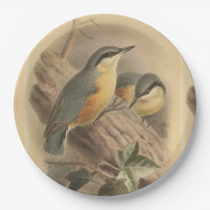 Vintage Illustration of Nuthatch Paper Plate