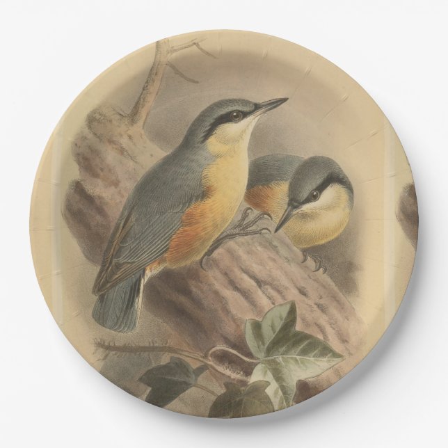 Vintage Illustration of Nuthatch Paper Plate (Front)