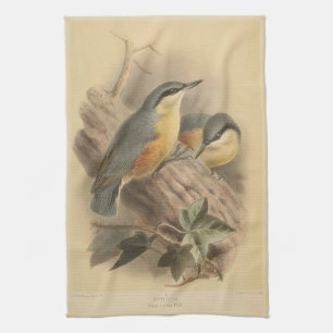 Vintage Illustration of Nuthatch Tea Towel