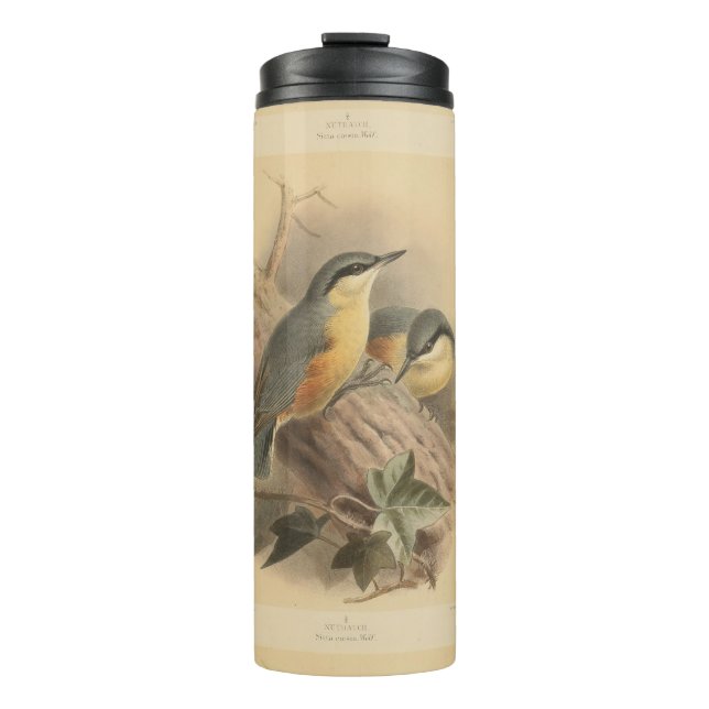 Vintage Illustration of Nuthatch Thermal Tumbler (Front)