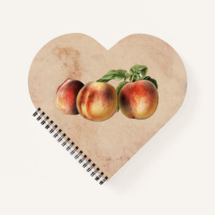 Vintage Illustration of Peaches Notebook