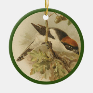 Vintage illustration of woodchat shrike ceramic ornament