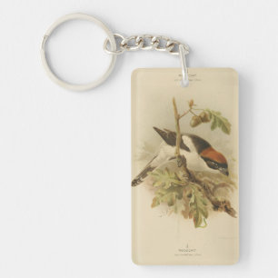 Vintage Illustration of Woodchat Shrike Key Ring
