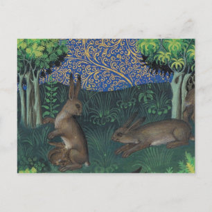 Vintage Illustration Postcard