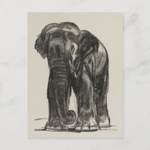 Vintage Illustration Postcard