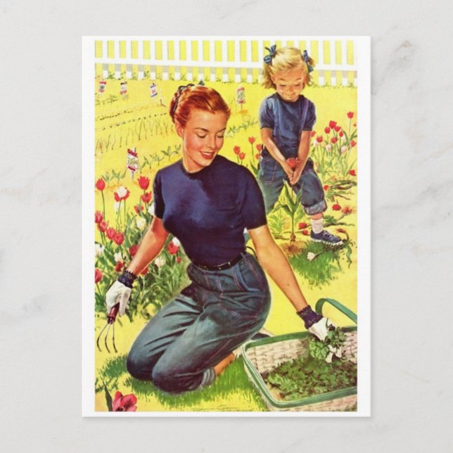 Vintage Illustration Postcard (Front)