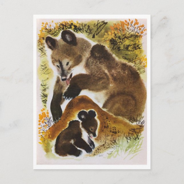 Vintage Illustration Postcard (Front)