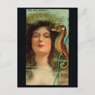 Vintage Illustration Postcard