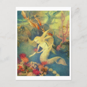 Vintage Illustration Postcard