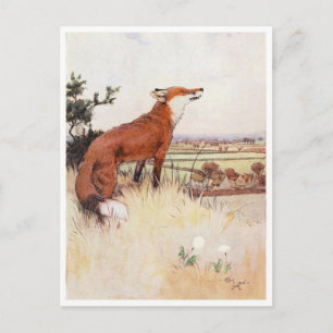 Vintage Illustration Postcard