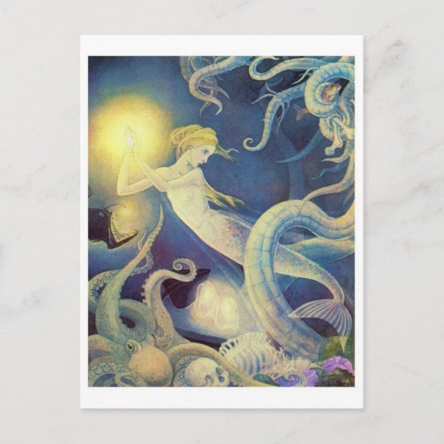 Vintage Illustration Postcard (Front)