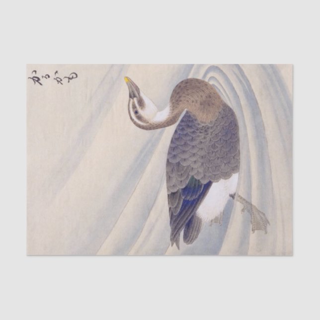 Vintage illustration: Spot-billed duck Tissue Paper (Front)