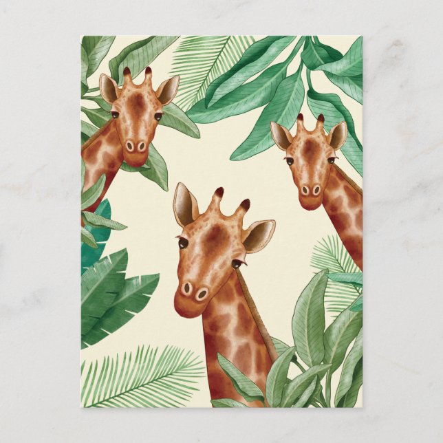 Vintage Illustrations Of Giraffe Postcard (Front)
