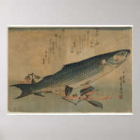 Vintage Image of Japanese Striped Mullet - Canvas