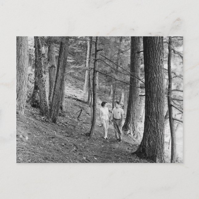 Vintage Imp Lake Hiking Trail, Upper Peninsula Postcard (Front)