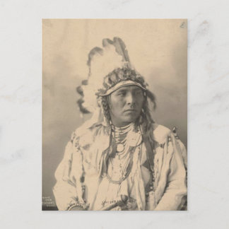 Vintage indian : Spotted Jack Rabbit, Crow - Postcard