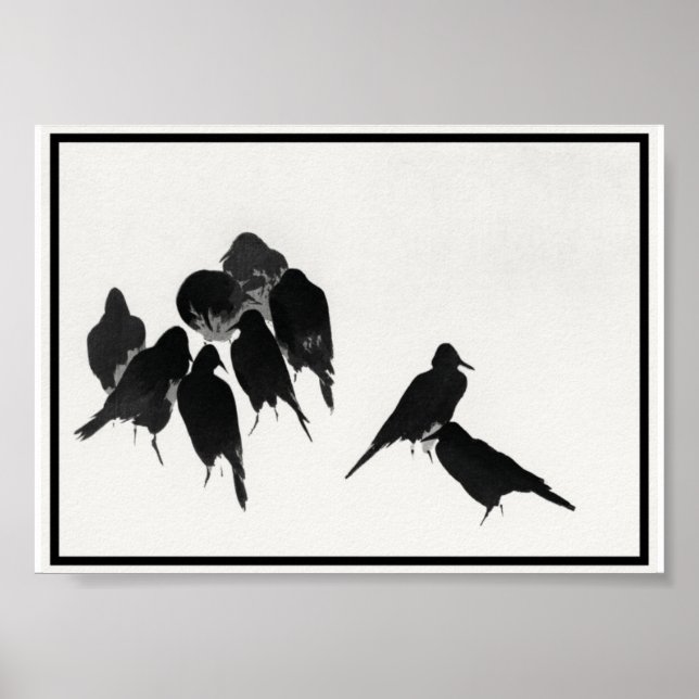 Vintage Ink Crows Illustration Poster (Front)