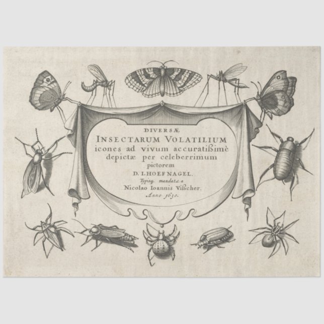 Vintage Insect Decoupage Tissue Paper (Front)