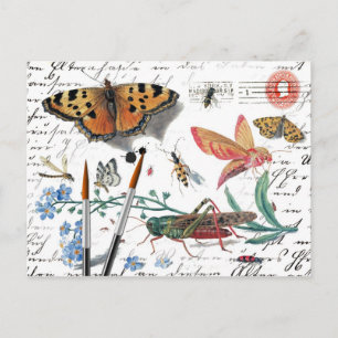 Vintage Insect Letter and postmark Postcard