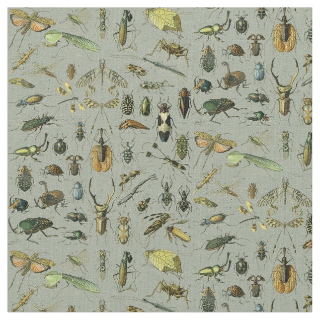 Vintage Insect Pattern Fabric (Close Up)