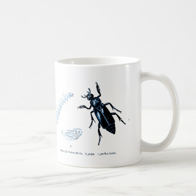 Vintage Insect | Sexton Beetle | Blue Coffee Mug (Right)