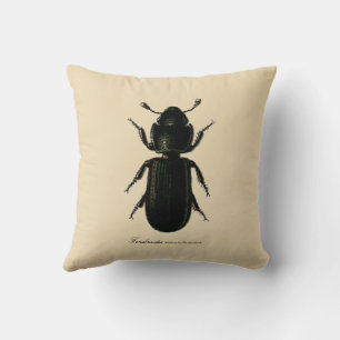 Vintage Insects Cadelle Beetle Entomology Revers. Cushion
