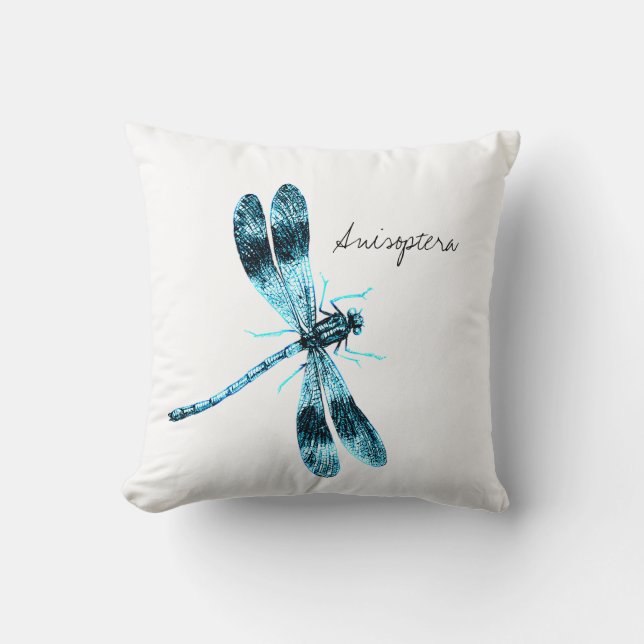 Vintage Insects Dragonfly illustration Cushion (Front)