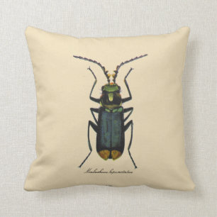 Vintage Insects Entomology Reversible Cotton Cushion