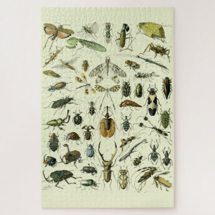 Vintage Insects Jigsaw Puzzle